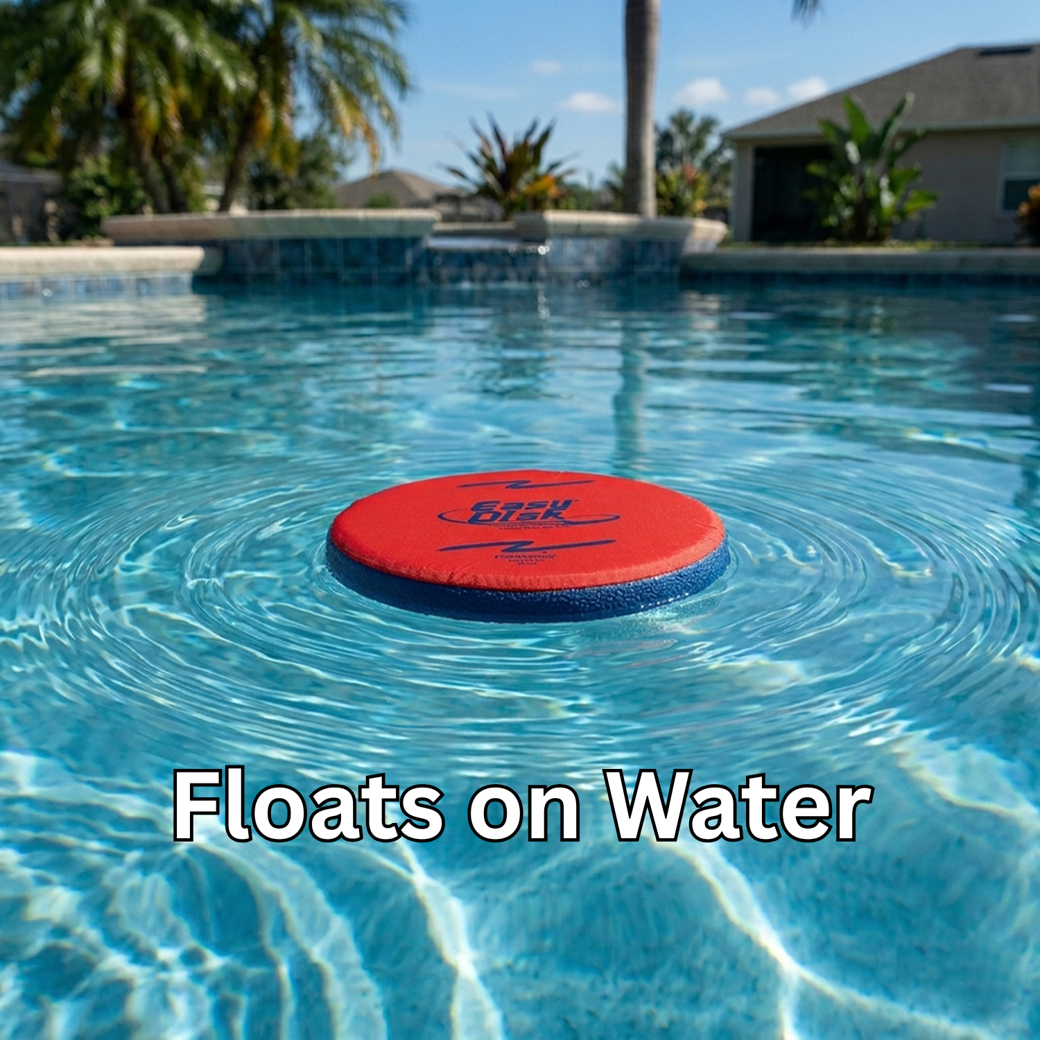 Easy Disk