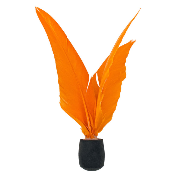 Birdie-Wind1500px1500px_grande